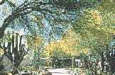 Ghost Ranch Lodge Tucson, Arizona (Budget Lodging) image