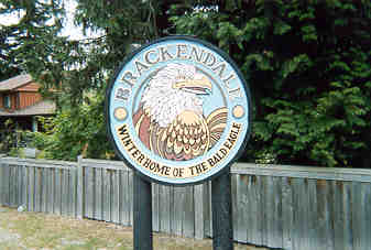 Brackendale Brackendale, British Columbia (Cities) image