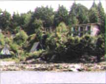 Duffin Cove Resort Tofino, British Columbia (Resort Hotels) image