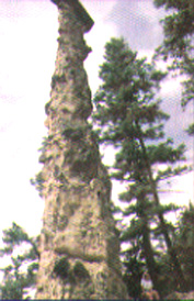 Pillar Lake Resort Falkland, British Columbia (RV Campgrounds) image