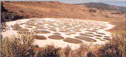 Spotted Lake Osoyoos, British Columbia image
