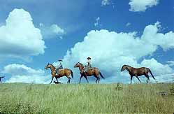 Cariboo Chilcotin Coast Williams Lake, British Columbia image