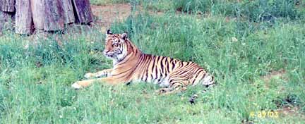 Smithsonian's National Zoo Washington, Washington DC (Wildlife Preserves) image