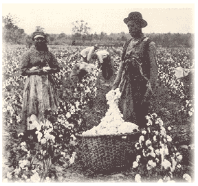 ... to the rapid decline of the Colored Farmersâ€™ Alliance after 1892