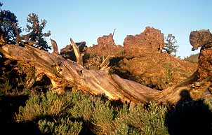 Craters of the Moon National Monument Arco, Idaho (National Parks) image