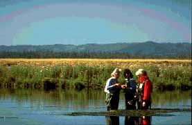 Harriman State Park Island Park, Idaho (State Parks) image