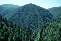 St Joe Wild and Scenic River, Idaho (Rivers and Streams) image