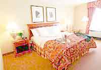 Best Western Avalon Hotel and Conference New Orleans, Louisiana (Budget Lodging) image