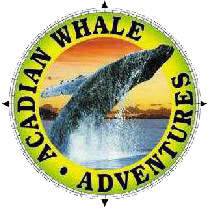 Acadian Whale Adventures Bar Harbor, Maine (Whales and Whale Watching) image