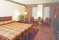Holiday Inn Rochester City Center Rochester, Minnesota (Budget Lodging) image