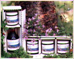 Eva Gates, Homemade Preserves Est.1949 Bigfork, Montana (Specialty Food Stores) image
