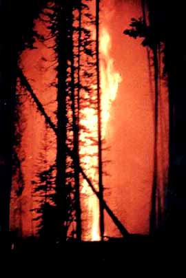 Aerial Fire Depot & Smokejumpers Center Missoula, Montana (Fire Fighting) image