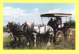 Huntley Project Museum Huntley, Montana (History Museums) image