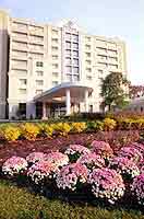 Hilton Valley Forge King Of Prussia, Pennsylvania (Budget Lodging) image