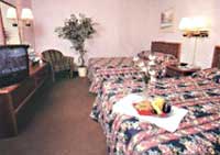 Days Inn Coliseum San Antonio, Texas (Budget Lodging) image