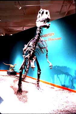 Burke Museum of Natural Hist & Culture Seattle, Washington (History Museums) image