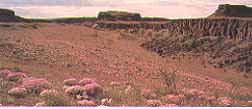 Columbia National Wildlife Refuge Othello, Washington (Wildlife Areas) image