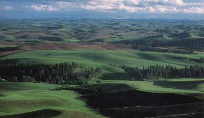 Colfax, Washington (Cities) image