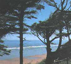Copalis Beach, Washington (Cities) image