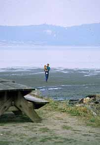 Dash Point State Park Federal Way, Washington (State Parks) image