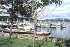 Friday Harbor, Washington (Cities) image