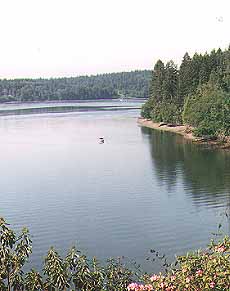 Grapeview, Washington (Cities) image