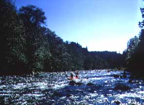 Green River Gorge Conservation Area, Washington (Parks) image
