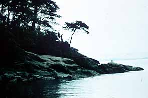 Larrabee State Park Bellingham, Washington (State Parks) image