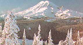 Mount Rainier, Washington (Mountains) image