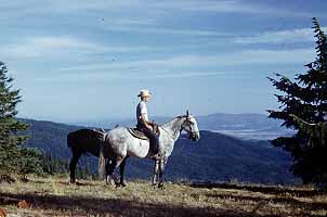 Mount Spokane State Park Mead, Washington (State Parks) image