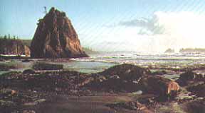 Olympic National Park Port Angeles, Washington (National Parks) image