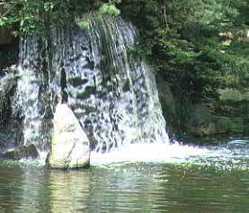Point Defiance Park Tacoma, Washington (County Parks) image