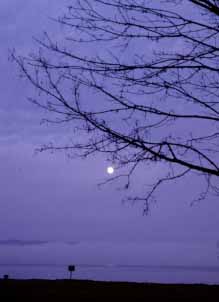 Potlatch State Park Shelton, Washington (State Parks) image