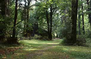 Schafer State Park Elma, Washington (State Parks) image