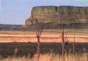 Steamboat Rock State Park Electric City, Washington (State Parks) image