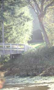 Tolmie State Park Olympia, Washington (State Parks) image