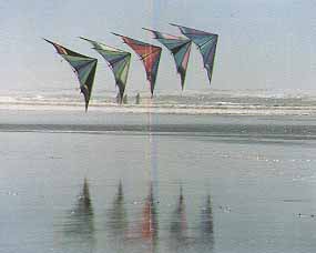 Washington Coast Chamber of Commerce Copalis Beach, Washington (Chambers of Commerce) image