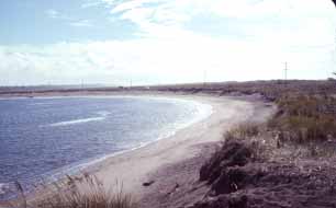 Westhaven State Park Westport, Washington (State Parks) image