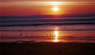 Westport, Washington (Cities) image