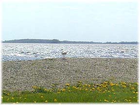 Beaver Dam Lake Beaver Dam, Wisconsin (Lakes, Reservoirs and Ponds) image